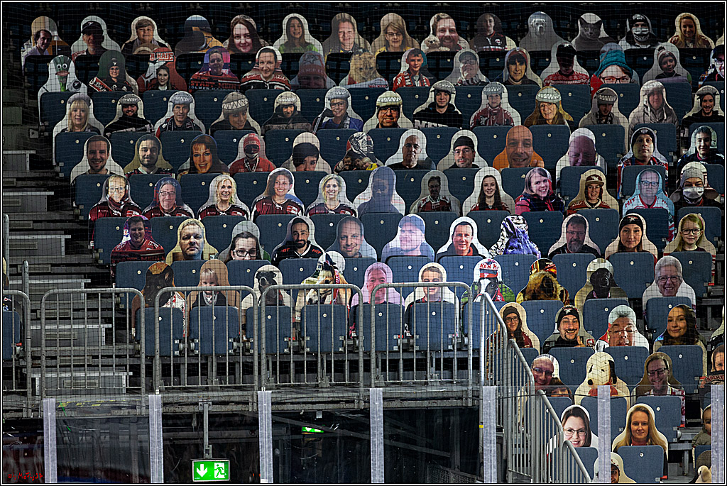 PENNY DEL;  Koelner Haie - Fischtown Pinguins Bremerhaven; Koeln, 12.02.2021